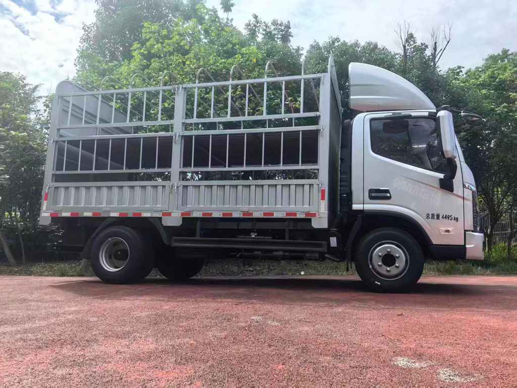 Powerful, Fuel-Efficient and Hill-Climbing Capable: The All-New FORLAND G6-LNG Light Truck Makes Its Debut
